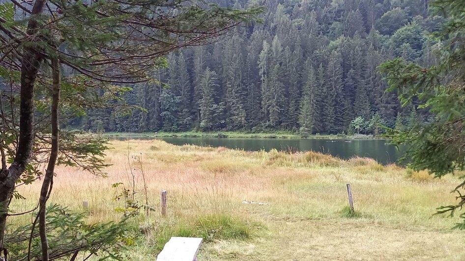 Spechtensee in Wörschachwald | © TVB Ausseerland Salzkammergut/Raunigg