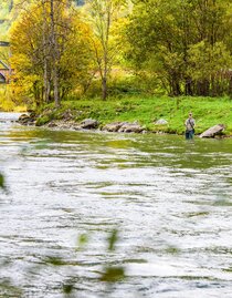 Fischen in der Mur | René Hochegger | © Tourismusverband Murau