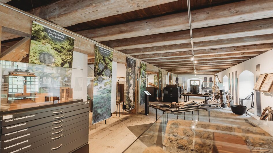 Ausstellung Wald:Welten
