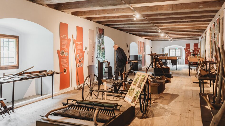 Forstmuseum Silvanum mit Sonderausstellung - Impression #2.8