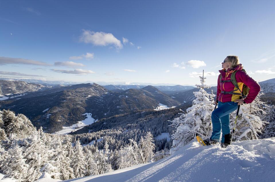 Frauenalpe - Impression #1 | © Tourismusverband Murau