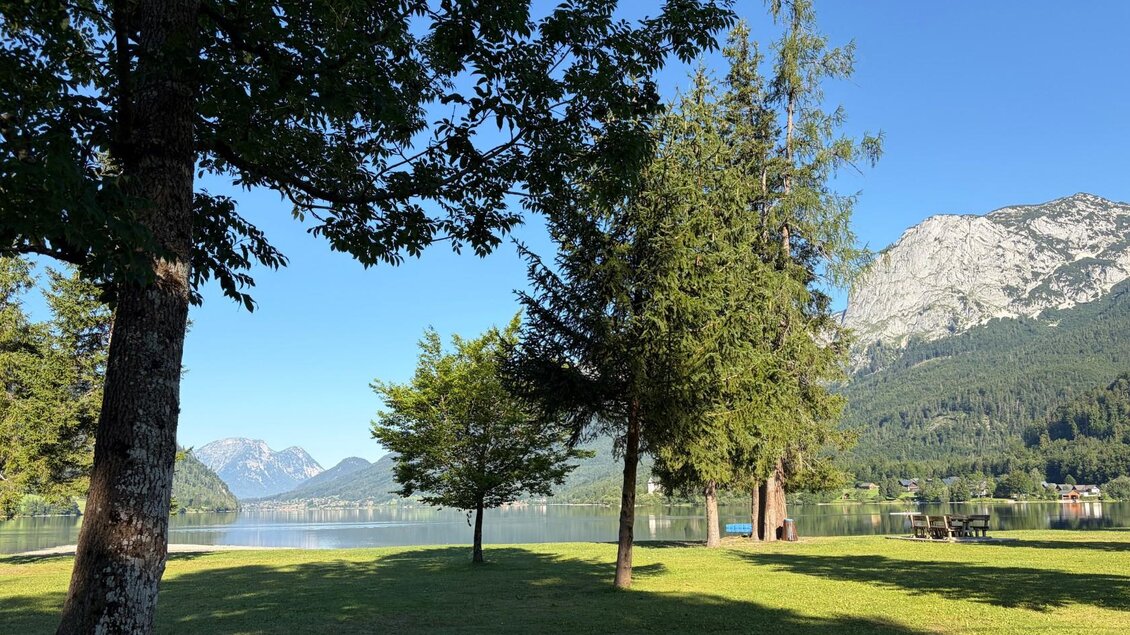 bäume-badeplatz-freizeitzentrum-gößl-grundlsee | © TVB Ausseerland/Johanna Rastl