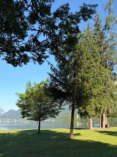 Leisure Center Goessl, Grundlsee, Trees | © TVB Ausseerland/Johanna Rastl | Johanna Rastl | © TVB Ausseerland/Johanna Rastl
