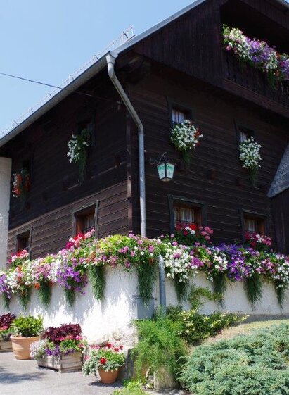 Dorfwirt Wider | Gasthaus Dorfwirt / Familie Wider