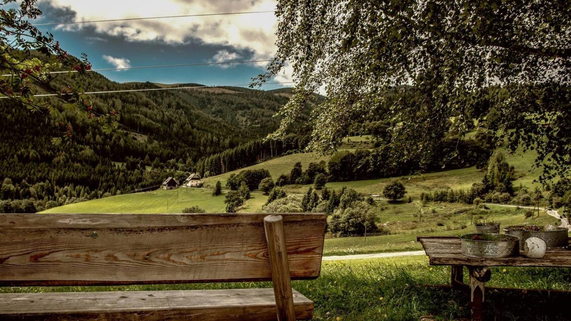 Eine gemütliche Bank steht vor einer grünen Landschaft mit sanften Hügeln und Bäumen. Der Himmel ist wolkig und es ist ein ruhiger, malerischer Ort. | © Gasthof Pöllauerhof