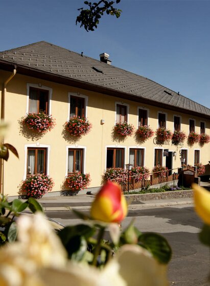 Gasthof Pürrer in Schäffern in Eastern Styria | Leo | © Gasthof Pürrer