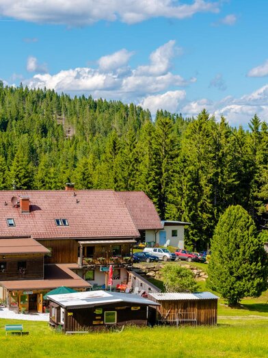 GasthofRieseralm-Außenansicht1-Murtal-Steiermark | © Gasthof Rieseralm | Gasthof Rieseralm | © Gasthof Rieseralm