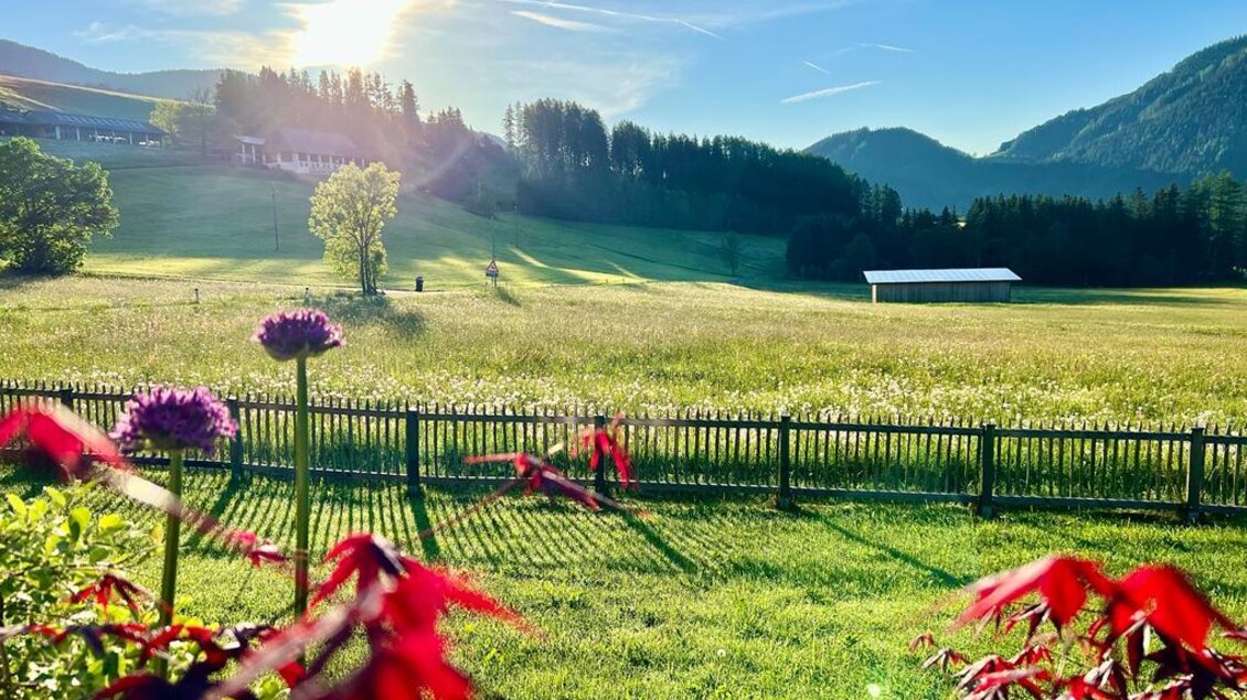 GasthausWachter-Außenansicht6-Murtal-Steiermark | © Gasthaus Wachter