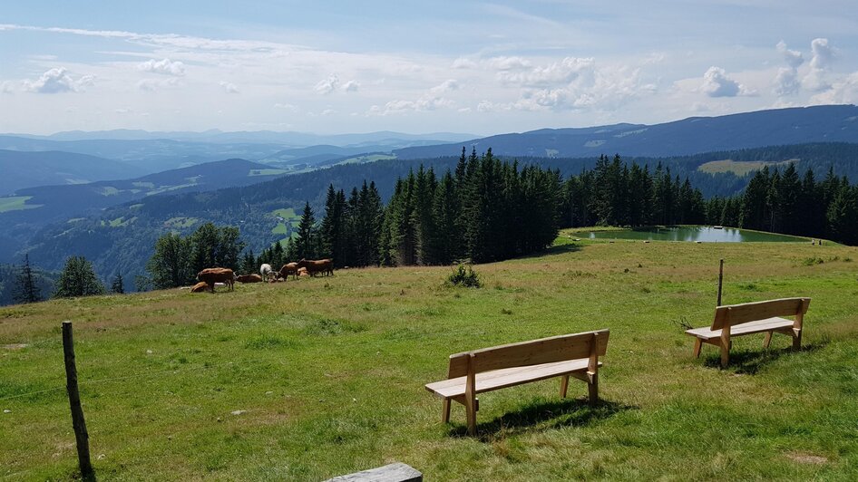 Ausblick von der Glatzl Trahütten Alm | © Glatzl Trahütten Alm