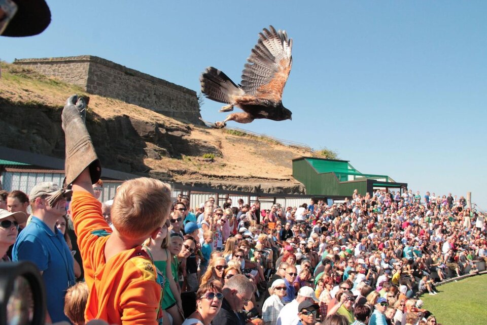 Riegersburg Bird of Prey Observatory - Impression #1 | © Greifvogelwarte Riegersburg
