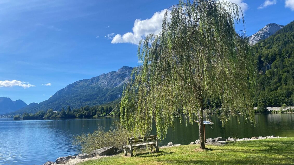 Ein ruhiger See umgeben von Bergen und frischem Grün. Ein großer Weidenbaum steht neben einer Bank am Ufer. | © Bettina Scheck