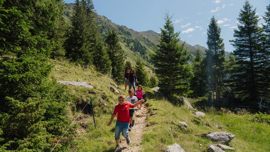 Wanderung | © Tourismusverband Murau