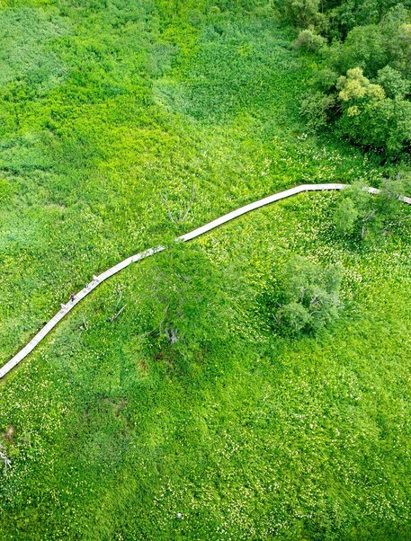 Naturjuwel Hörfeld-Moor | Tom Lamm | © Tourismusverband Murau