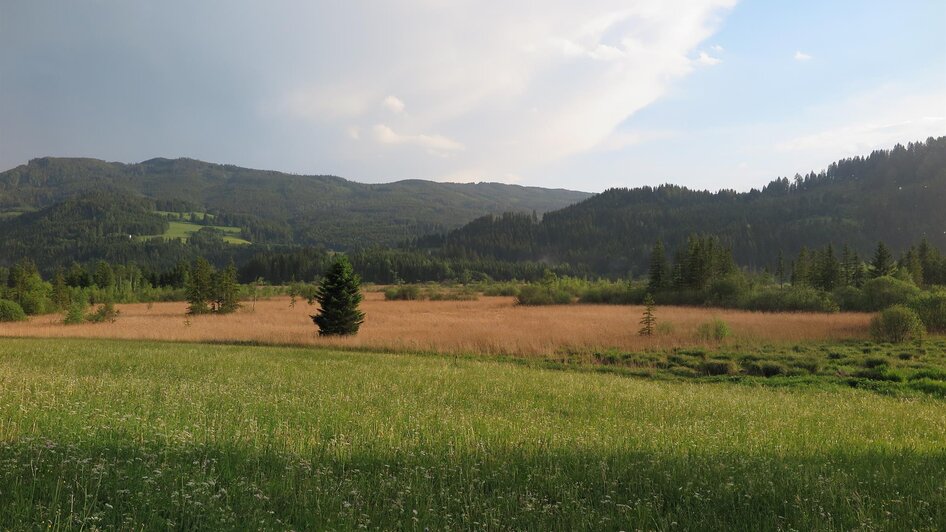 Blick über das Hörfeld-Moor | © Naturpark Zirbitzkogel-Grebenzen