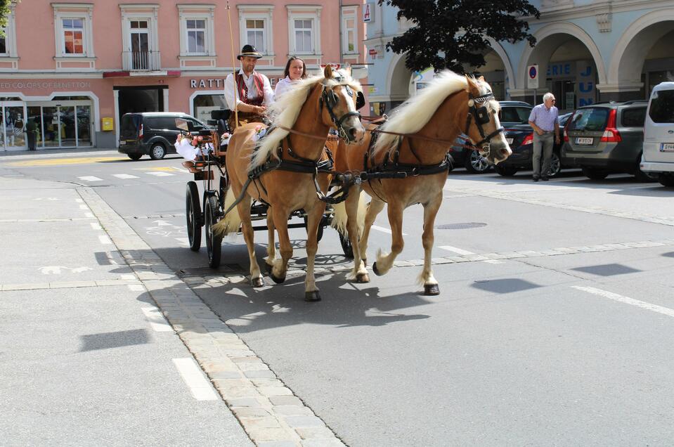 Haflinger Kutschenfahrten Murtal - Impression #1 | © Katschnig