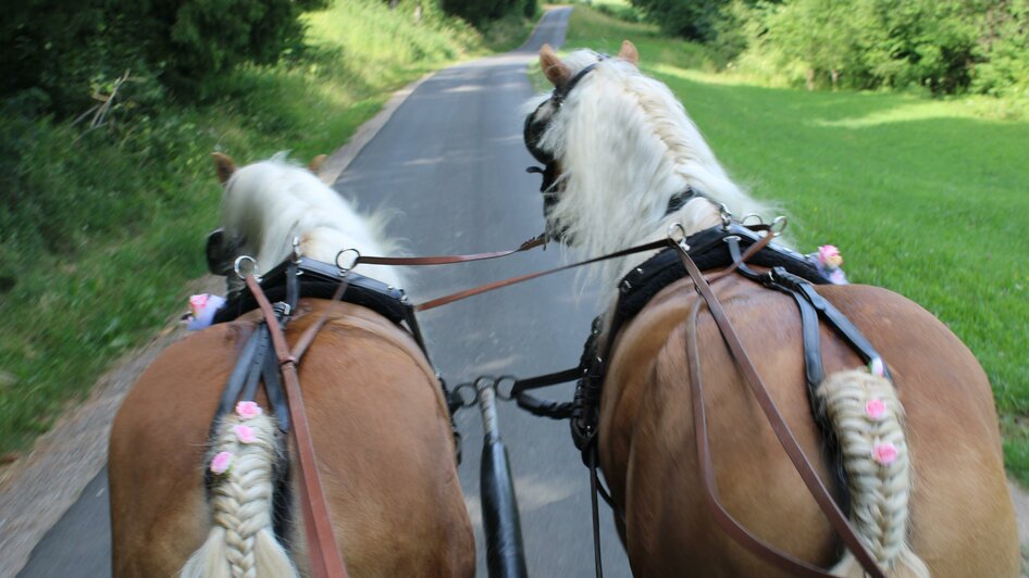 Kutsche-Pferd-Murtal-Steiermark | © Katschnig