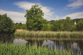 Hartberg Gmoos_Lake_Eastern Styria | © Tourismusverband Oststeiermark