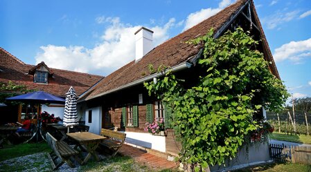 Haus des Apfel_Hausansicht_Oststeiermark | © Tourismusverband Oststeiermark | Chris Strassegger | © Tourismusverband Oststeiermark