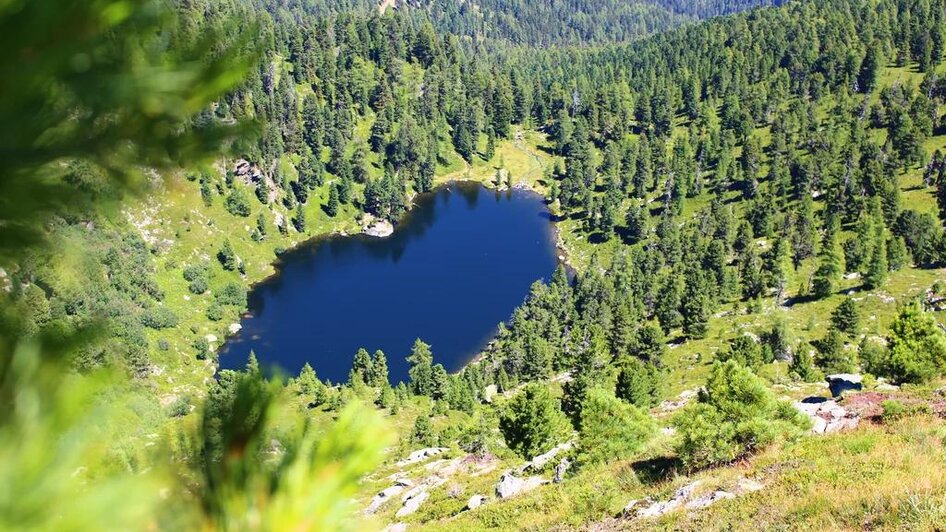 Blick auf Hauserersee | © TVB Murau