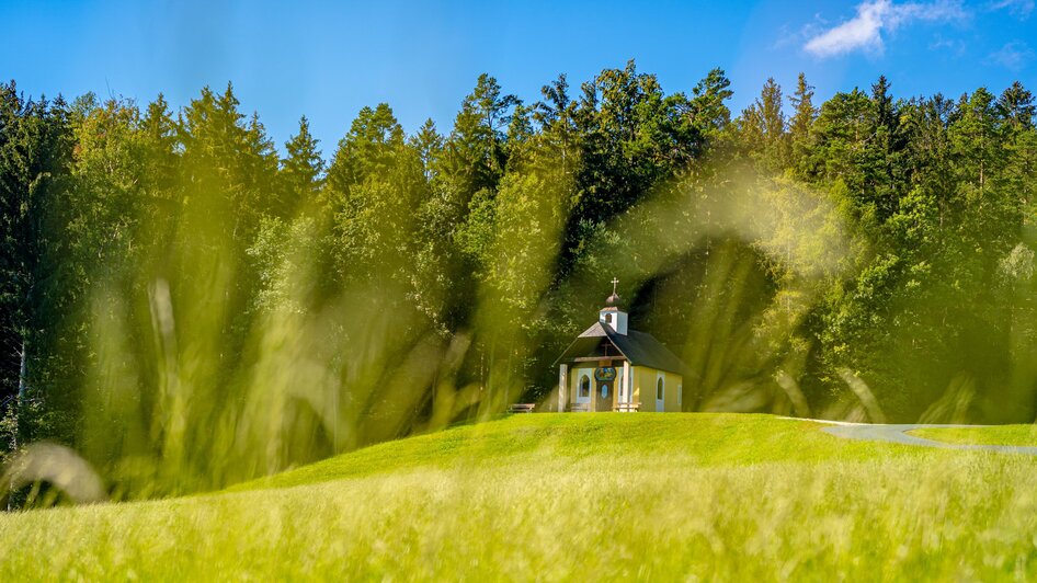 Blick auf Marienkapelle Hohenau in Dechantskirchen | © Kräuterregion Wechselland / Oststeiermark Tourismus