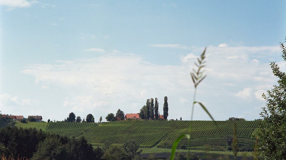 Herrenhof Lamprecht | © Herrenhof Lamprecht