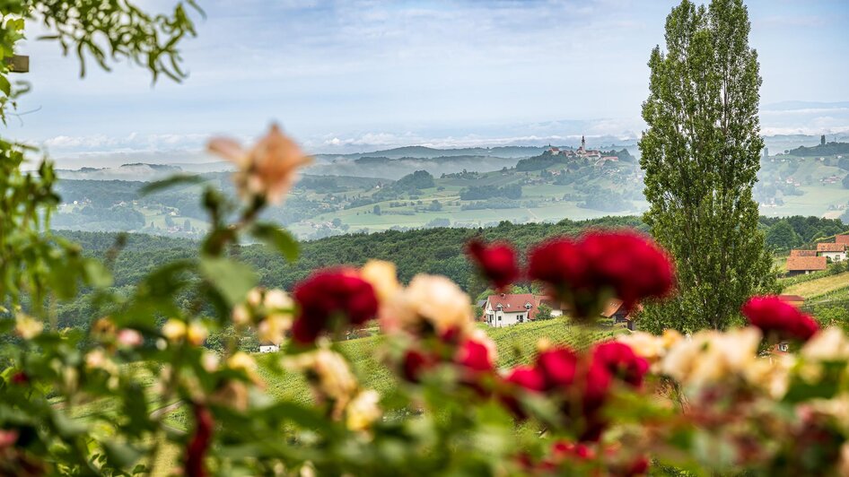 Natur soweit das Auge reicht | © Rosenbergl/Kirwasser