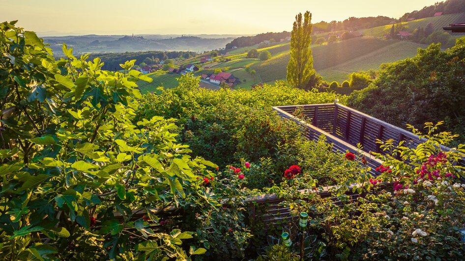 Rsoenbergl-008 | © Rosenbergl/Kirwasser