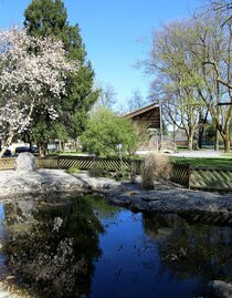 Park_Lake_Eastern Styria | © Iris Bloder | © Iris Bloder