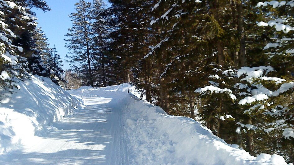 Winterwanderweg | © Brigitte Digruber