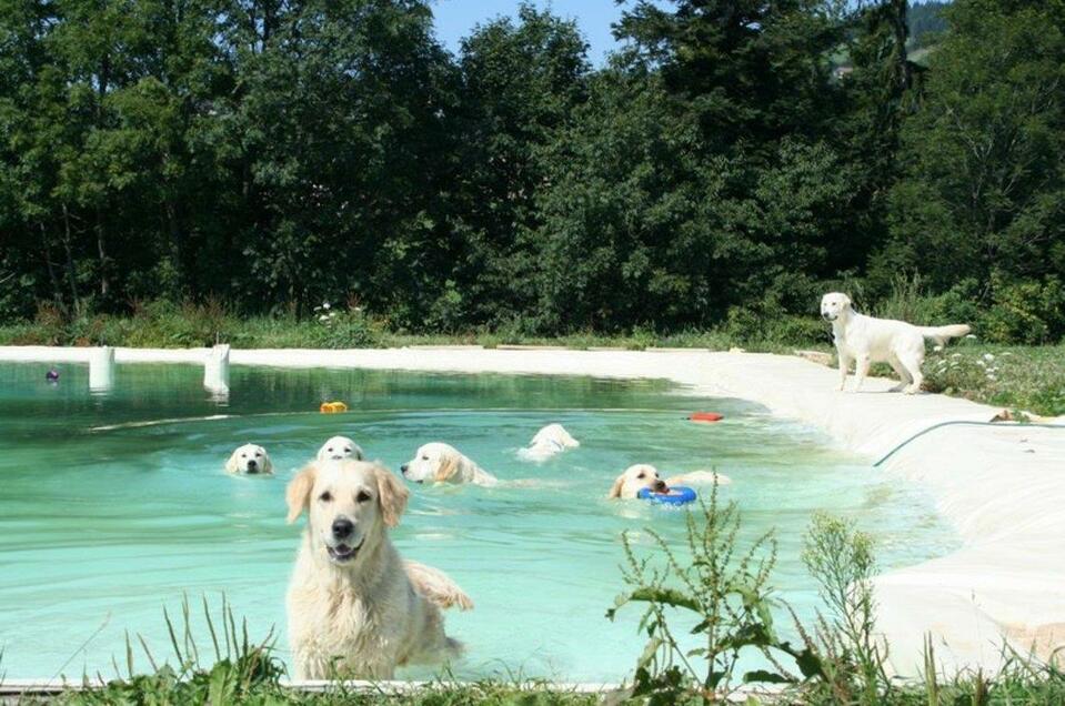 Dog Holiday Farm "Host of Angels" - Impression #1 | © Hundeferienhof "Host of Angels"