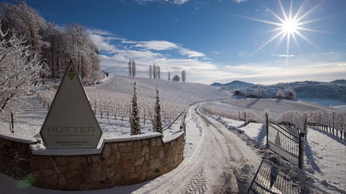Eine winterliche Weinlandschaft mit schneebedeckten Reben und strahlendem Sonnenschein. Der Weg führt zu einem Weingut, umgeben von verschneiten Bäumen. | © Weingut Hutter