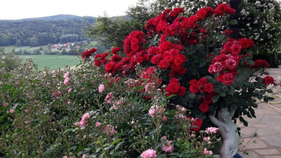 Ideengarten Maria Raab in Poppendorf - Impression #2.1