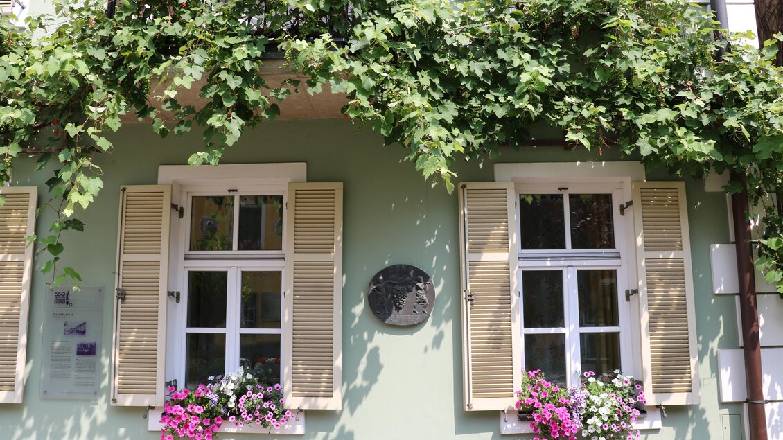 Eine charmante Hausfassade mit grüner Wand und weißen Fensterläden. Über den Fenstern hängen Pflanzen, und bunte Blumen blühen in den Kästen. | © tvb südstmk