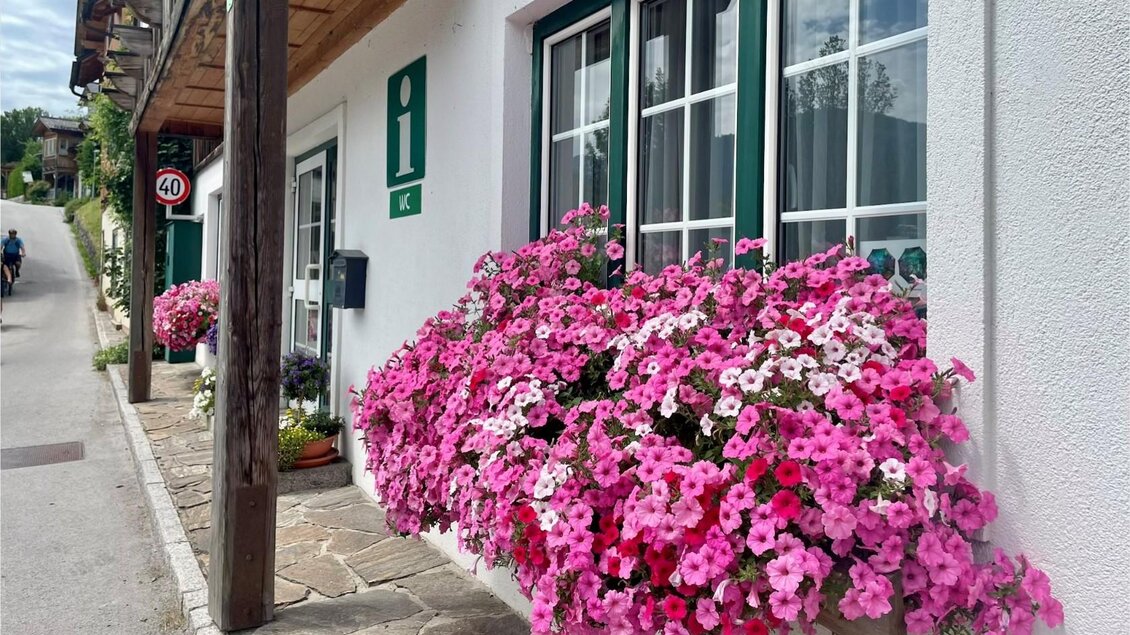 Eine gemütliche Straße mit einem weißen Gebäude und großen Blumenkästen voller pinker und weißer Petunien. Im Hintergrund ist eine malerische Landschaft sichtbar. | © TVB Ausseerland Salzkammergut
