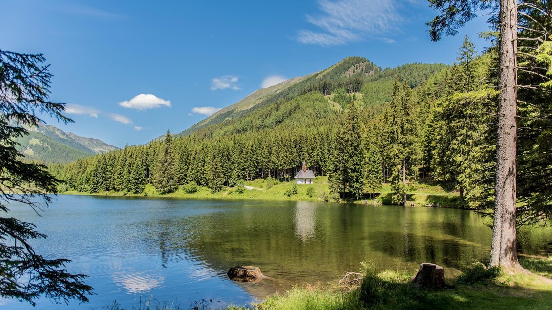Ein ruhiger See umgeben von hohen Bäumen und sanften Hügeln. Der Himmel ist klar und blau, ideal für einen entspannenden Tag in der Natur. | © Anita Fössl