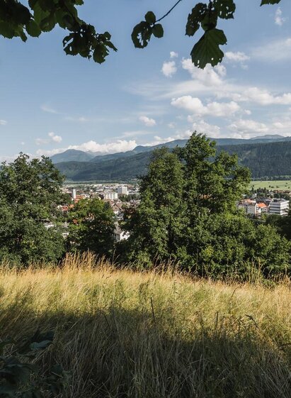 Blick auf die Bezirkshauptstadt Liezen | Thomas Sattler | © Thomas Sattler
