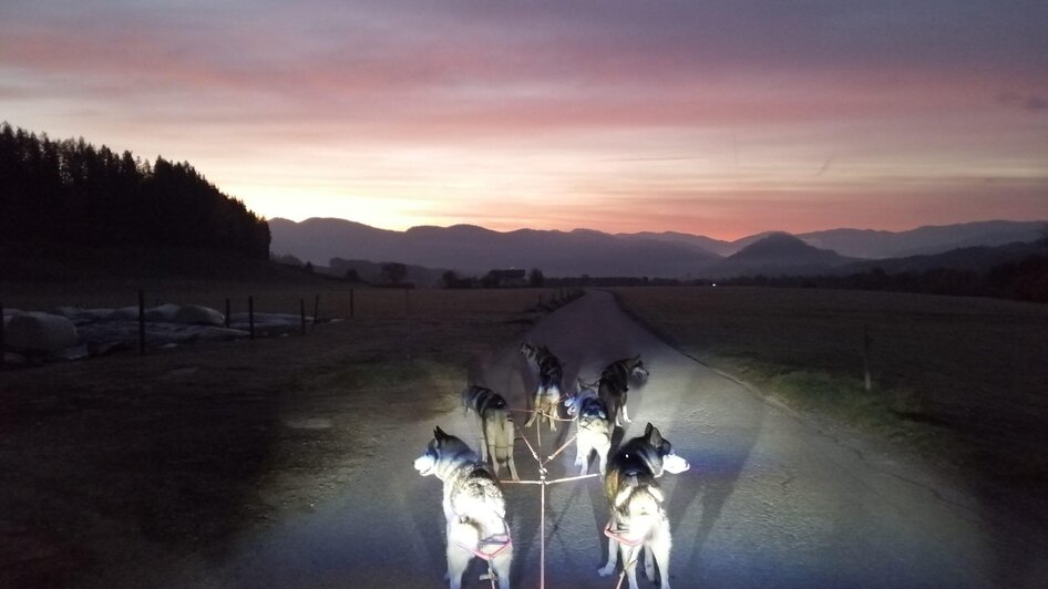 Nachttraining | © Harald Tauderer