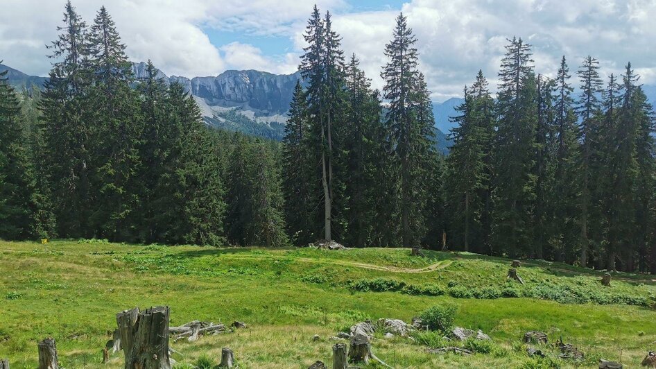 Ischler Hütte, Altaussee, Almgebiet | © TVB Ausseerland Salzkammergut_Theresa Schwaiger