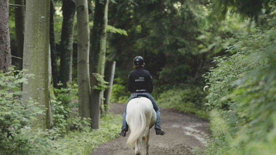 Islandpferdehof Piet Hoyos | © Piet Hoyos-Fiona Tatschl