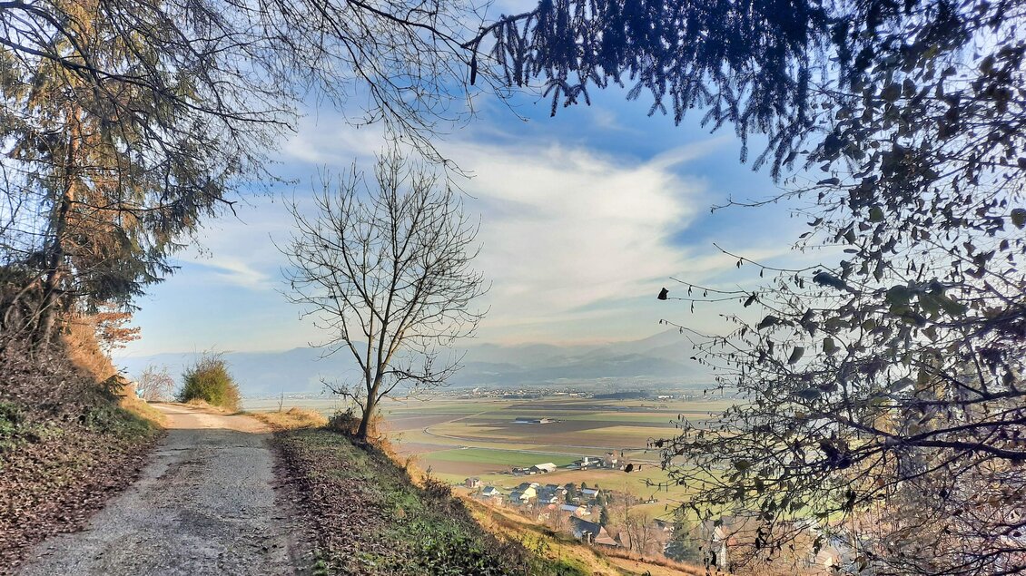 Ein schmaler Weg führt durch eine herbstliche Landschaft. Im Hintergrund sind Wiesen und ein blauer Himmel sichtbar. | © Weges