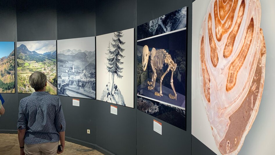 Köhlerzentrum Hieflau mit Sonderausstellung - Impression #2.2