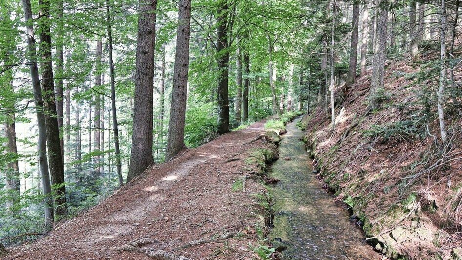 Künstlicher Wasserlauf bei der Waldsepplrunde | © Oststeiermark Tourismus