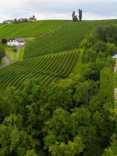 Burgruine Klöch | © Steiermark Tourismus | pixelmaker.at | © Steiermark Tourismus