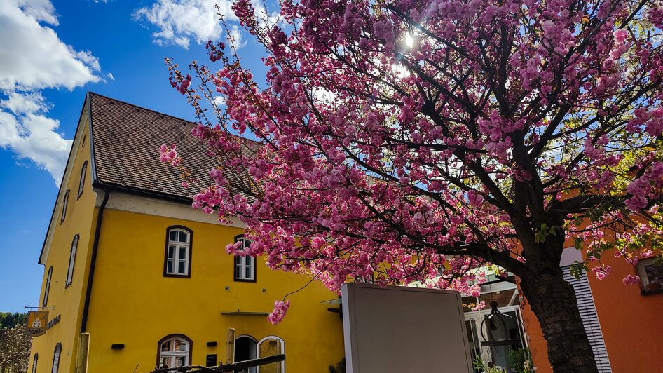 Kniely Haus Leutschach | © Kniely Haus Leutschach