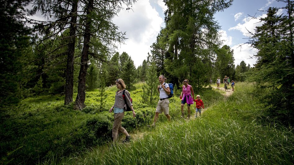Wandern am Kreischberg | © TV Murau