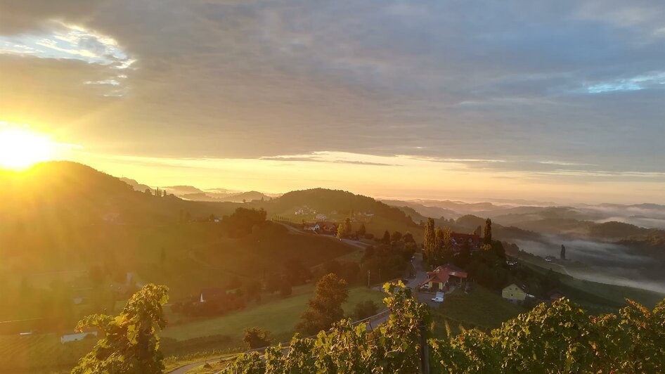 Herbstimpressionen | © KulturWeingut Kästenburg