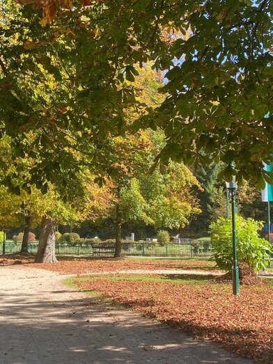 Kurpark, Bad Aussee, Herbst | © TVB Ausseerland Salzkammergut/Jana Grill | © TVB Ausseerland Salzkammergut/Jana Grill