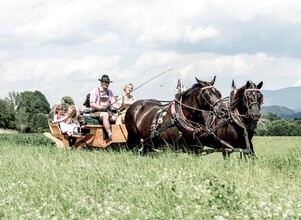 Deutinger-Kutschenfahrt1-Murtal-Steiermark | © Familie Deutinger