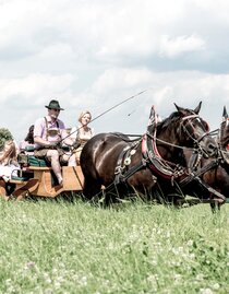 Deutinger-Kutschenfahrt1-Murtal-Steiermark | © Familie Deutinger | Familie Deutinger | © Familie Deutinger