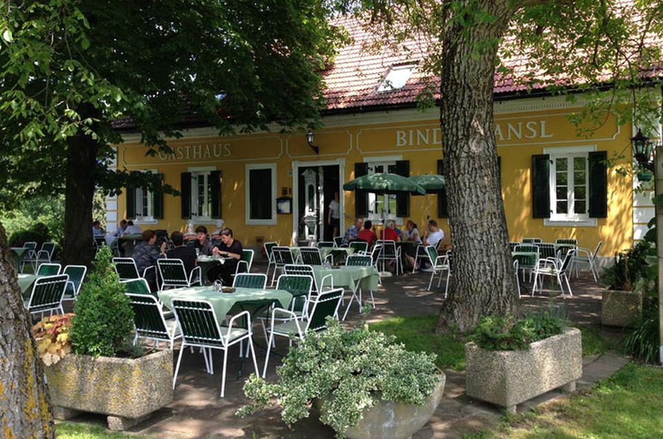 Landgasthaus Binderhansl in Gnas - Impression #1